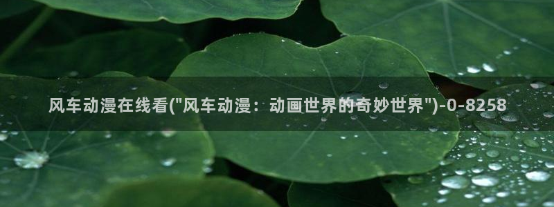 58动漫:风车动漫在线看(\