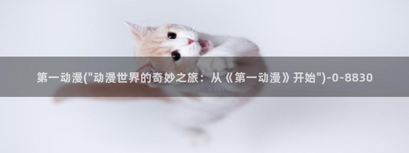 风之动漫:第一动漫(\